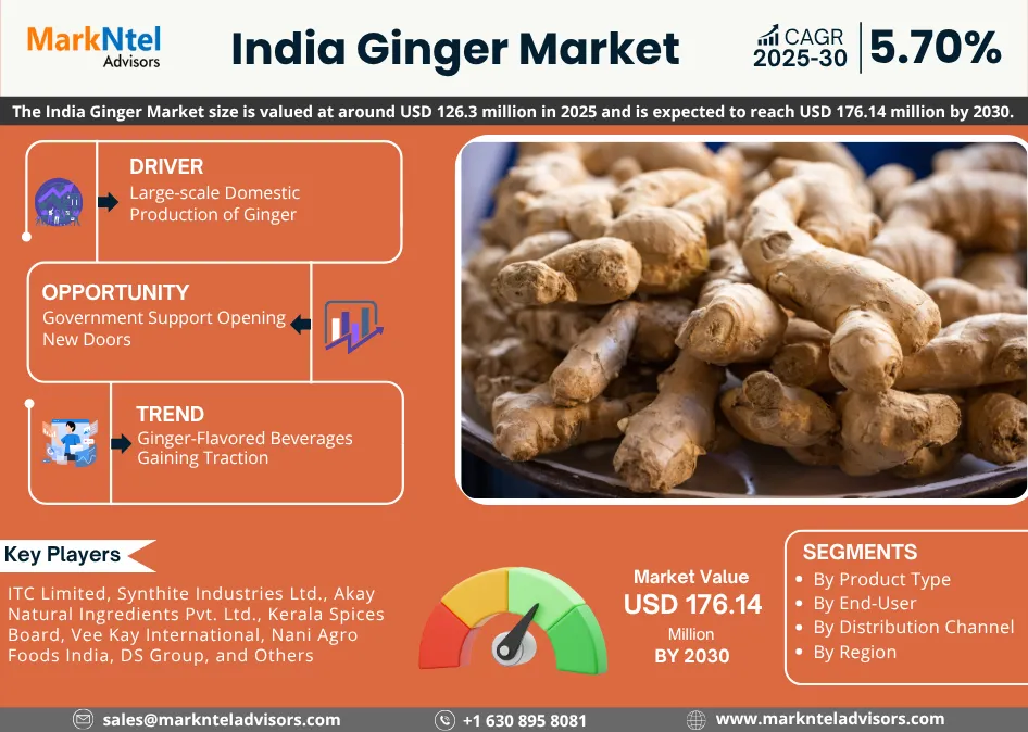 India Ginger Market Report Size, Share & Demand